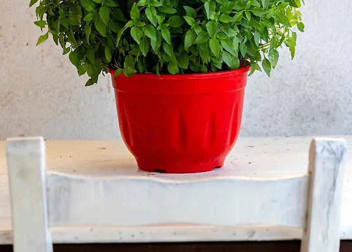 Hébergement de vacances Grandma's House Mani Platanos (Laconia)